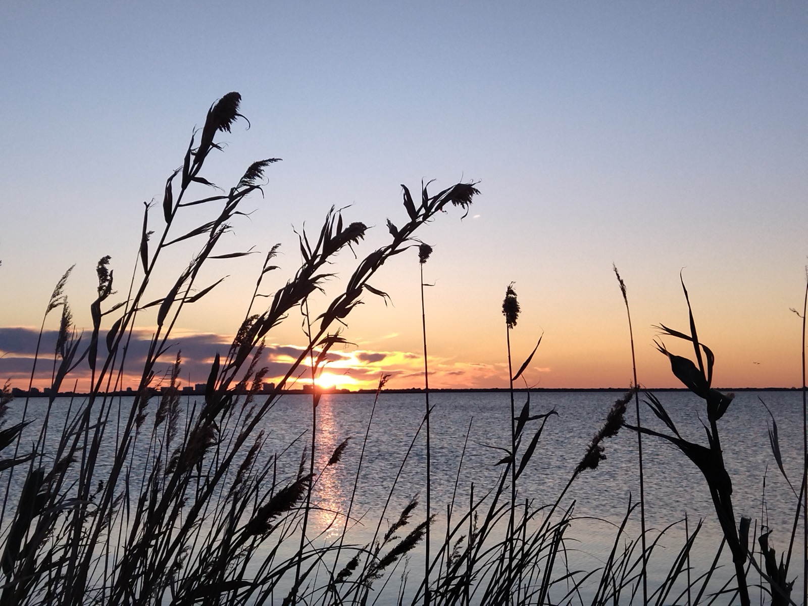 Vulnerabilidad de la Albufera de Valencia frente al cambio climático